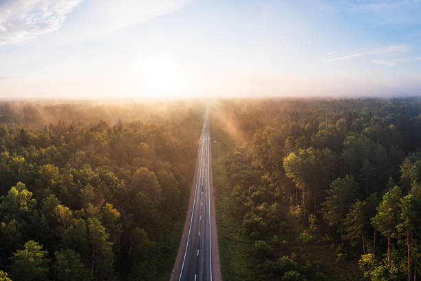 istock Forest at sunrise in Kemeri, Latvia 1592409664