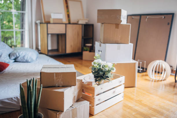 istock Cardboard boxes in new apartment 1592413321