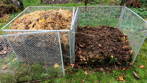 istock containers for collecting vegetable waste in the garden 1592441848