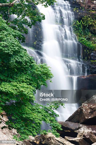 Hermosa Cascada Y Árbol De Arce Verdes Foto de stock y más banco de imágenes de Aire libre - Aire libre, Arce, Belleza de la naturaleza