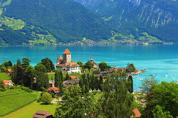 spiez, lago thun, suiza - lake thun swiss culture berne castle fotografías e imágenes de stock