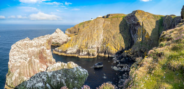 istock St Abbs Head and St Abb Lighthouse, Scotland 1592493218