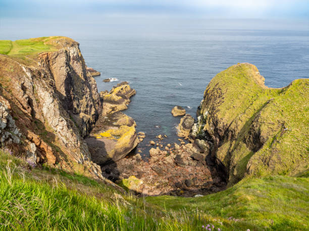 istock Horsecastle Bay near St Abbs Head, Scotland 1592493220
