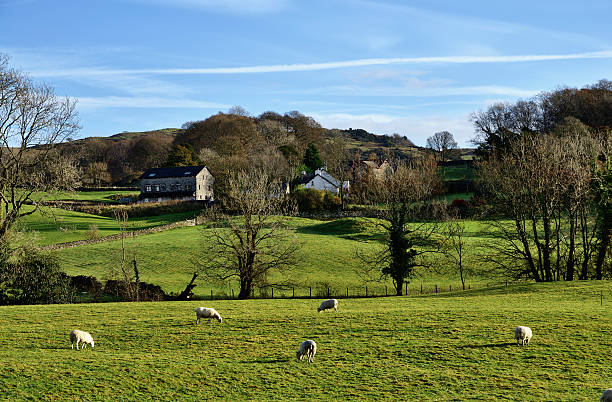 istock Sheep grazing in the Winster Valley, Cumbria 159250476