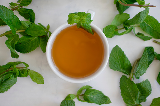 Cup of tea with fresh mint