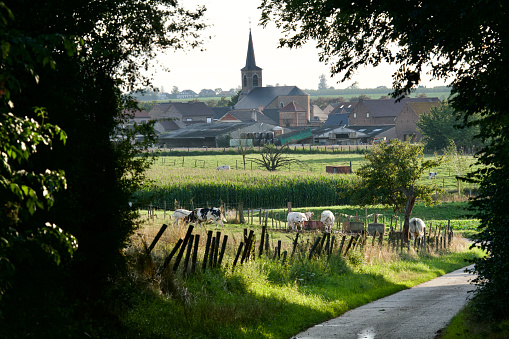 Bricks were made local from local clay. The brick factory is one of many found in Denmark throughout the 19th century. The open air museum represents buildings from that century carefully collected for a complete typical village.