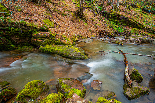 A mountain stream Kamenicka reka with stones with clear water, Stara Planina or Old Mountain, Serbia