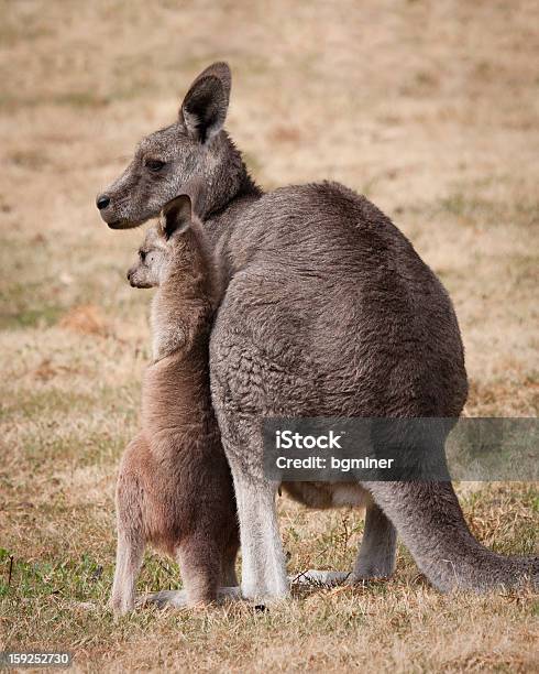 Mamma E Figlio A Marsupio - Fotografie stock e altre immagini di Abbracciare una persona - Abbracciare una persona, Accudire, Ambientazione esterna