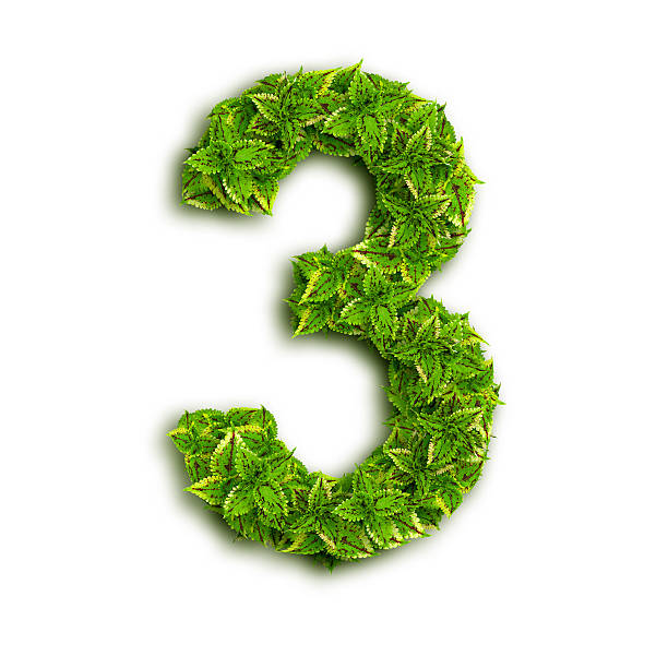 istock Alphabet Number 3, Made Of Leaves 159253586