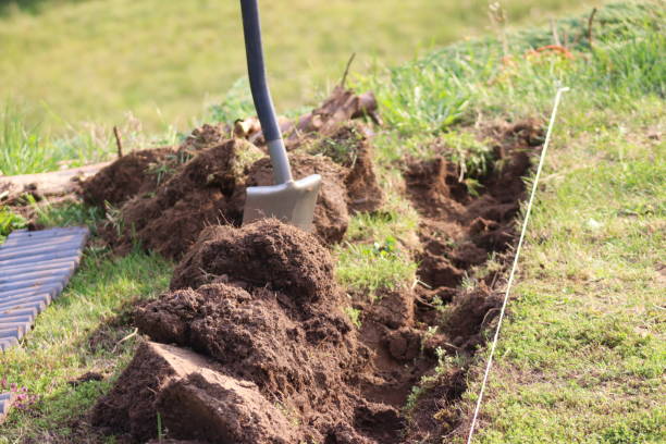 istock Digging the earth with a spade. Laying edges. 1592547837