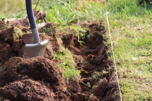istock Digging the earth with a spade. Laying edges. 1592548419