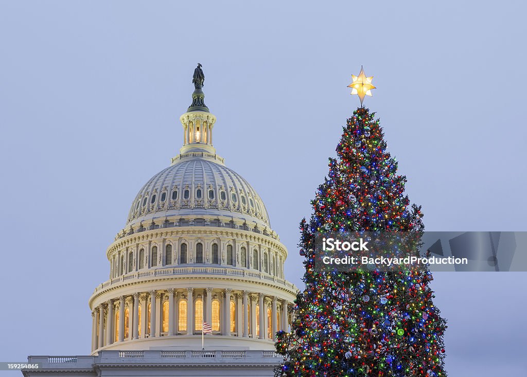 Albero di natale davanti al Campidoglio di Washington DC - Foto stock royalty-free di Washington DC