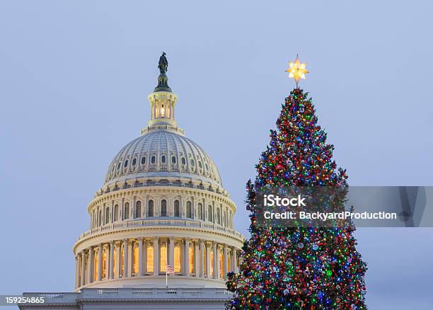 Albero Di Natale Davanti Al Campidoglio Di Washington Dc - Fotografie stock e altre immagini di Washington DC