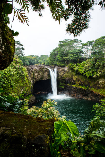 istock Beautiful Waterfall in Lush Green Rainforest 1592583926