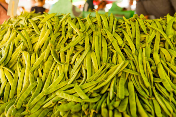 istock Freshly harvested green beans in Summer 1592584990