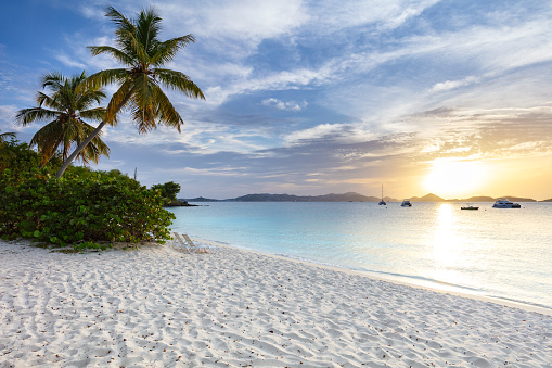 Lounge chairs and palm trees on a tropical beach at sunset, Honeymoon Beach, St. John, United States Virgin Islands