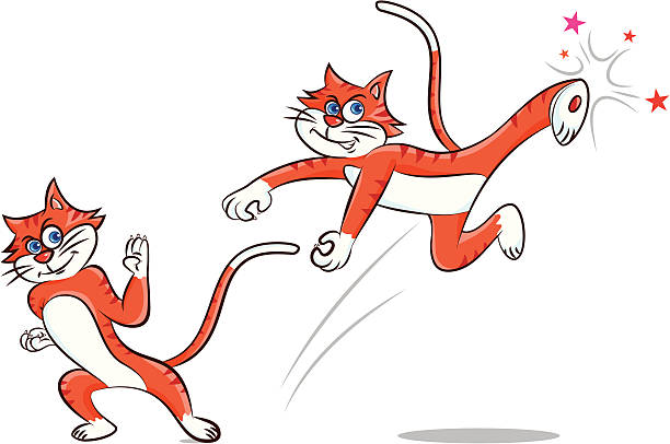 ilustrações de stock, clip art, desenhos animados e ícones de kung-fu gato - self defense wushu action aggression