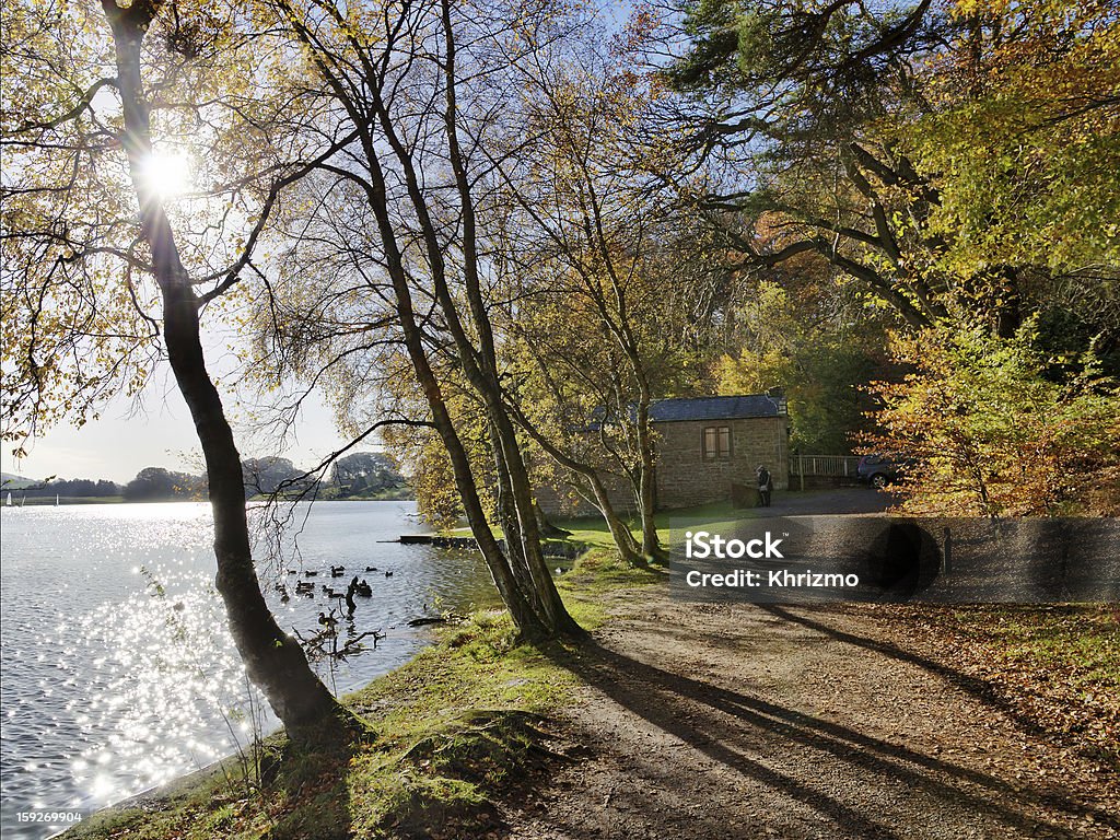 Trees at Talkin Tarn on an Autumn day. Trees in autumn foliage by Talkin Tarn, Brampton, with sunlight shining through the branches, casting shadows across the lakeside path Lake Stock Photo