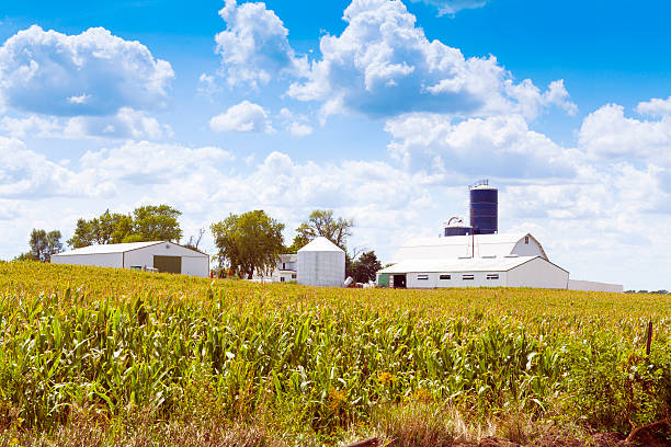 istock American Countryside in Summer Time 159270094