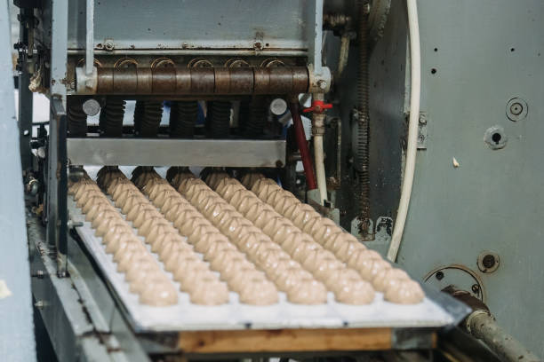 istock Confectionery factory. Zephyr and marshmallows forming process 1592721797