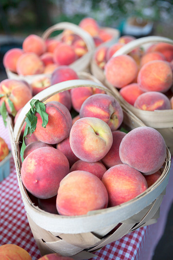 Baskets of peaches from South Carolina at the local farmer's market
