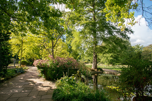 Greenery in Stadtpark of Hanover:pond, garden path and  early  Autumn  nature  in sunny September day