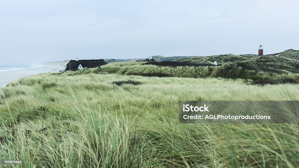 Vista su dune costiera - Foto stock royalty-free di Ambientazione esterna