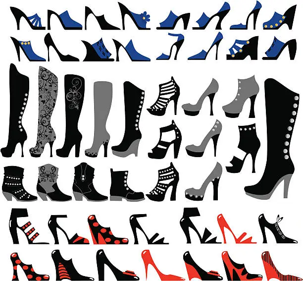 Vector illustration of womans shoes