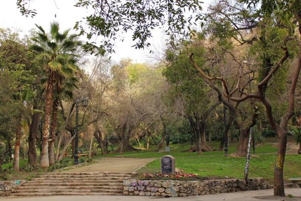 istock Public park with ground pathway and trees in early morning light 1592748216