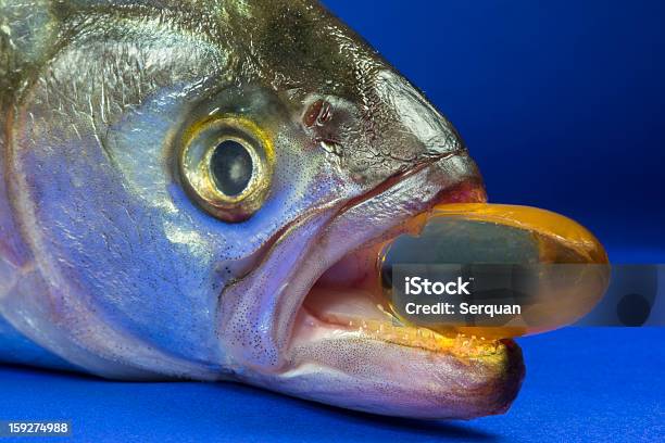 Óleo De Peixe Cápsula - Fotografias de stock e mais imagens de Anchova - Peixe de água salgada - Anchova - Peixe de água salgada, Comprimido, Cuidados de Saúde e Medicina