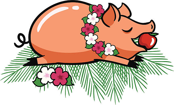 ilustrações, clipart, desenhos animados e ícones de luau porco assado - roasted