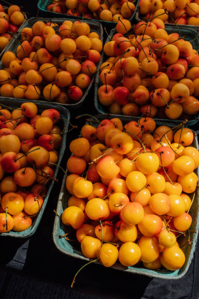 istock Rainier cherries at farmer's market 1592783815
