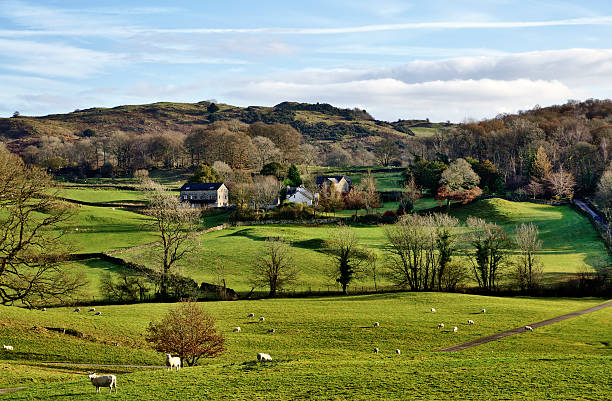 istock House in the Winster Valley, with grazing sheep. 159280169
