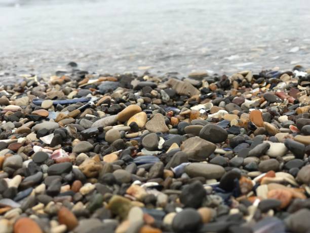 istock Jewels of the Beach 1592802027