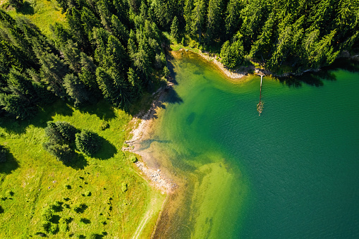 Summer landscape of Dospat dam in Rhodope mountains, Bulgaria