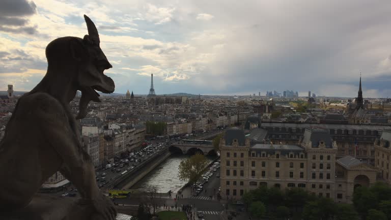 Panoramic Paris Cityscape from Notre Dame