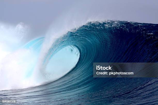 Tropical Blue Surfing Wave Stock Photo - Download Image Now - Wave - Water, Curled Up, Breaking Wave