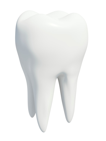 3d illustration of a molar tooth isolated on white background.