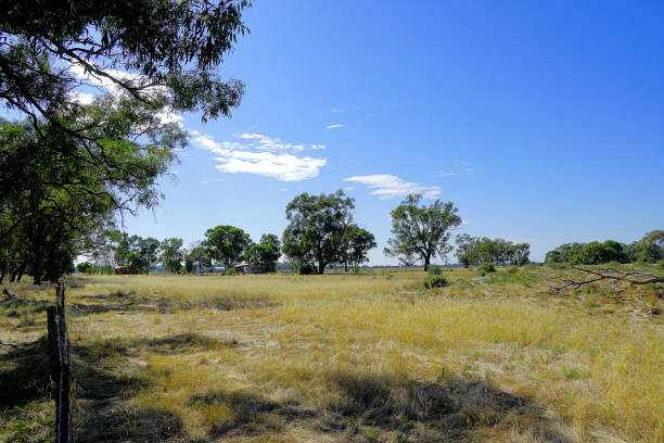 istock Lower Moira, Victoria, Australia 1592914322
