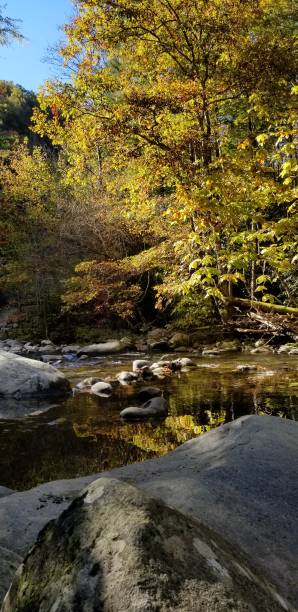 istock Great Smoky Mountains/Tremont 1592926882
