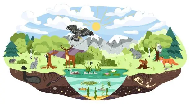 Vector illustration of Concept of ecosystem