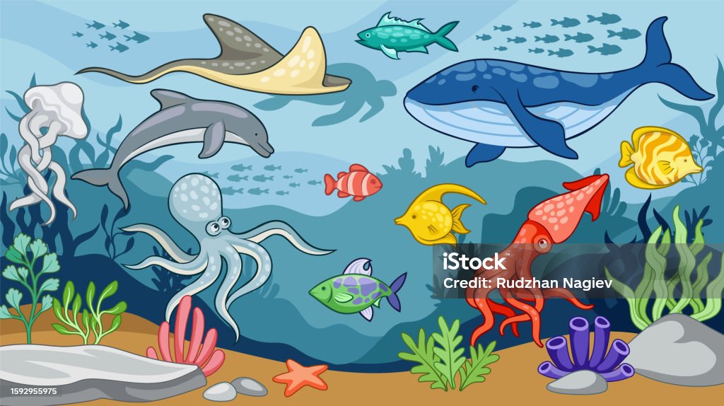 Ecosystem Cartoon Simple Sea Ecosystem Concept Stock Illustration - Download Image Now - Animal ...