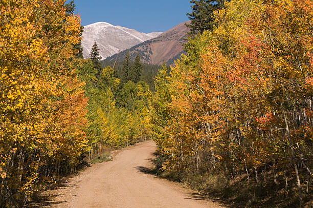 istock Michigan Creek Road 159300500