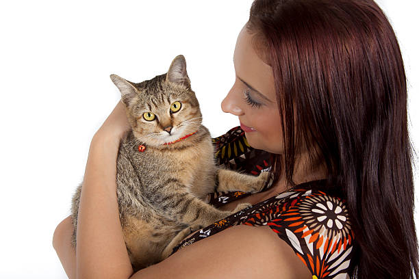 cat and young woman stock photo