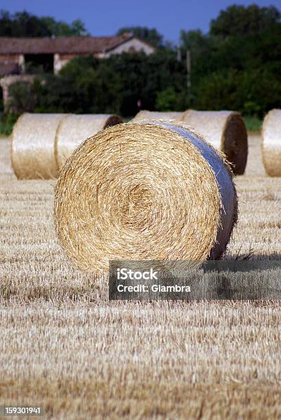 Fardos De Feno - Fotografias de stock e mais imagens de Colher - Atividade Agrícola - Colher - Atividade Agrícola, Fardo, Feno