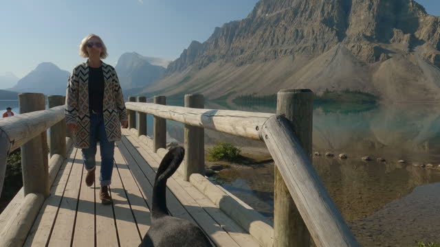 Woman walks dog on leash by mountain lakeshore, on bridge