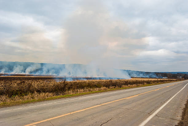 Controlled burn in New York of agricultural field with road stock photo