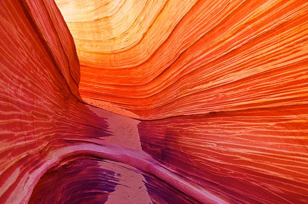 istock Fantastic Wave - Coyote Buttes, Vermillion Cliffs N.P. 159305121