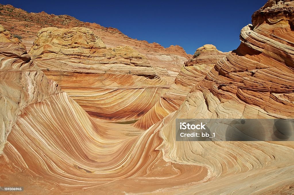 Una ola de Coyote Buttes, Vermillion Cliffs N.P. - Foto de stock de Abstracto libre de derechos