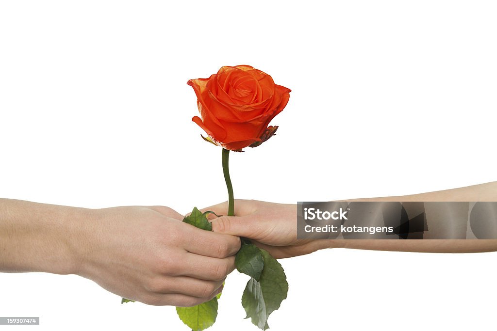 Mano dell'uomo dando una rosa rossa a donna - Foto stock royalty-free di Adulto